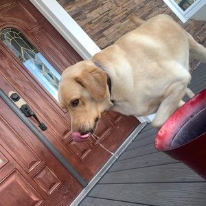 Meet your Posher, Jonathan